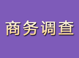 潜江商务调查